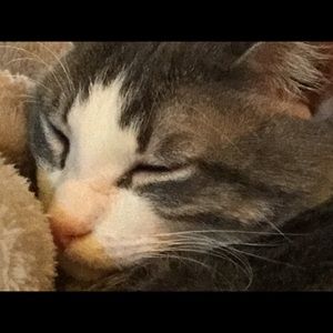 Meet your Posher, Ivana